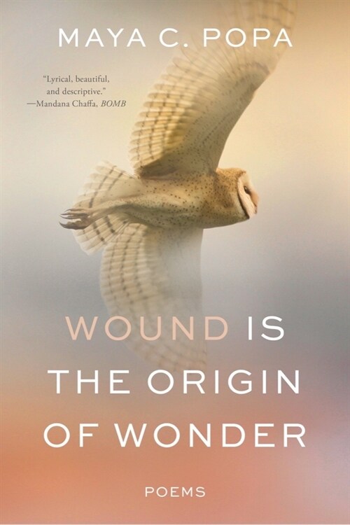 Wound Is the Origin of Wonder: Poems (Paperback)