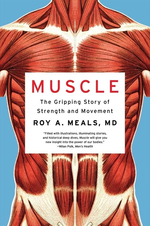 Muscle: The Gripping Story of Strength and Movement (Paperback)