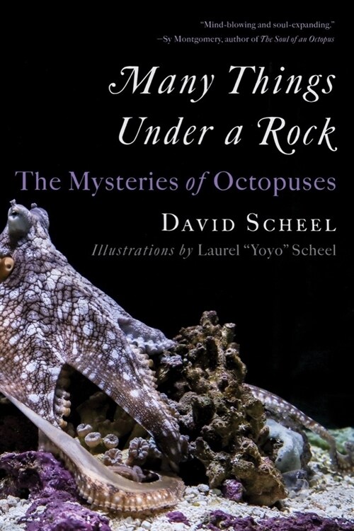 Many Things Under a Rock: The Mysteries of Octopuses (Paperback)