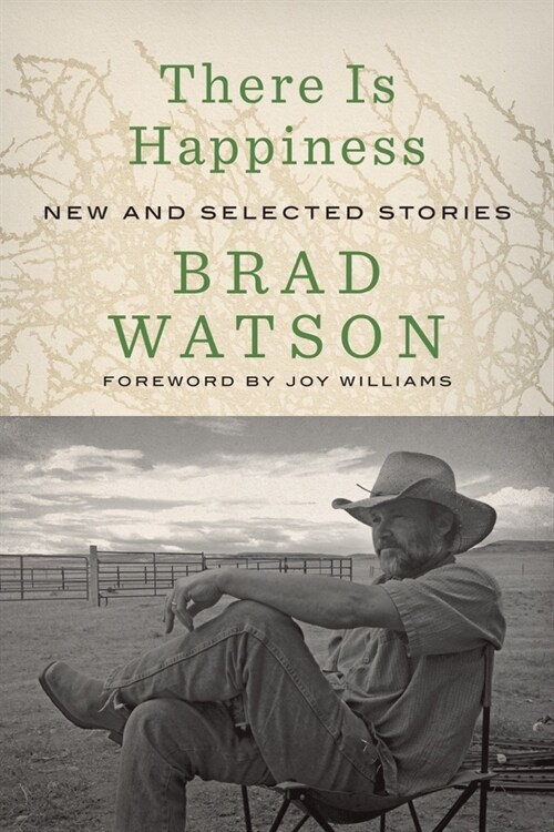 There Is Happiness: New and Selected Stories (Hardcover)