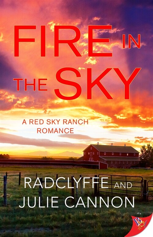 Fire in the Sky (Paperback)