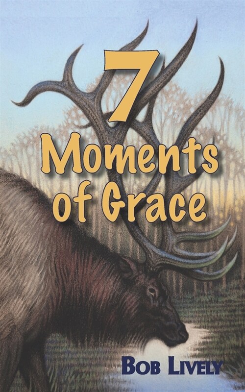 7 Moments of Grace (Paperback)