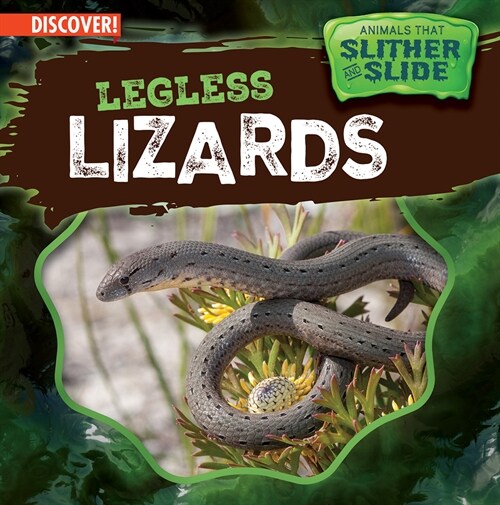 Legless Lizards (Library Binding)