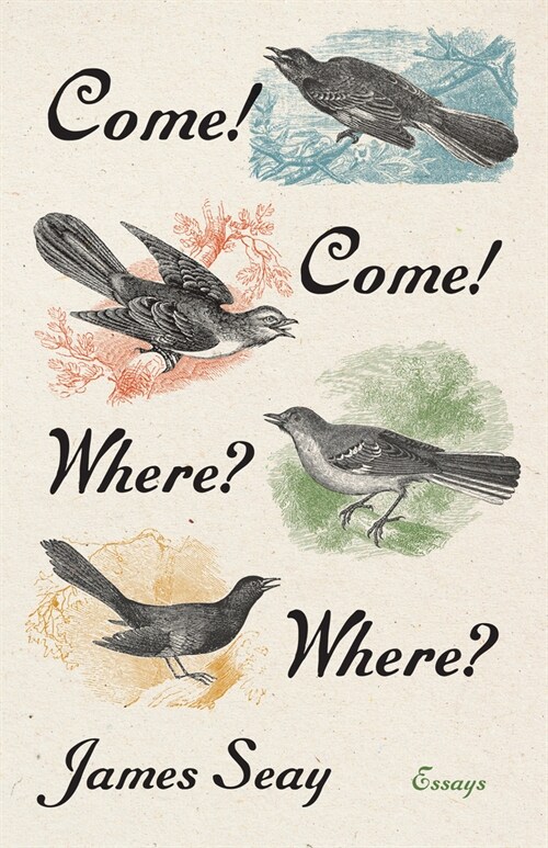 Come! Come! Where? Where?: Essays (Hardcover)