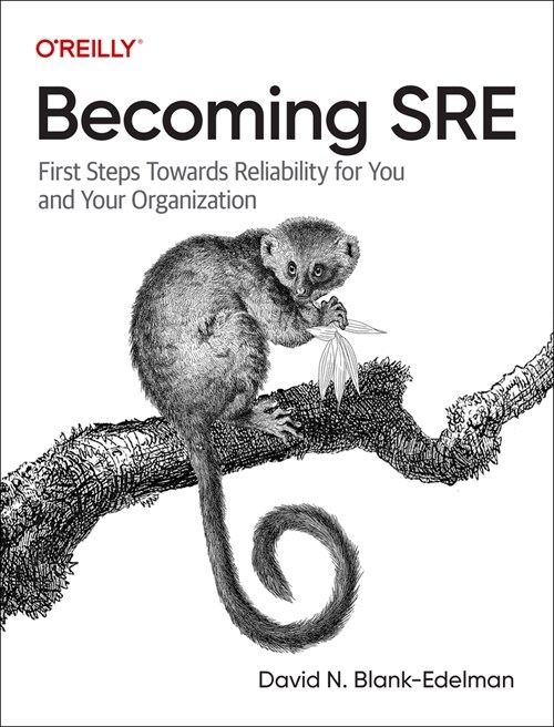 Becoming Sre: First Steps Toward Reliability for You and Your Organization (Paperback)