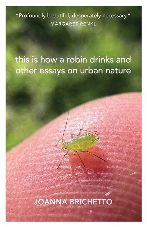 This Is How a Robin Drinks: Essays on Urban Nature (Paperback)