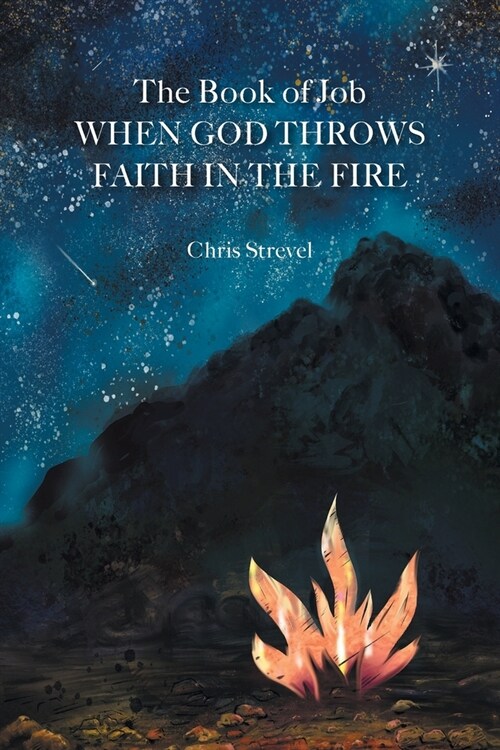 The Book of Job When God Throws Faith in the Fire (Paperback)