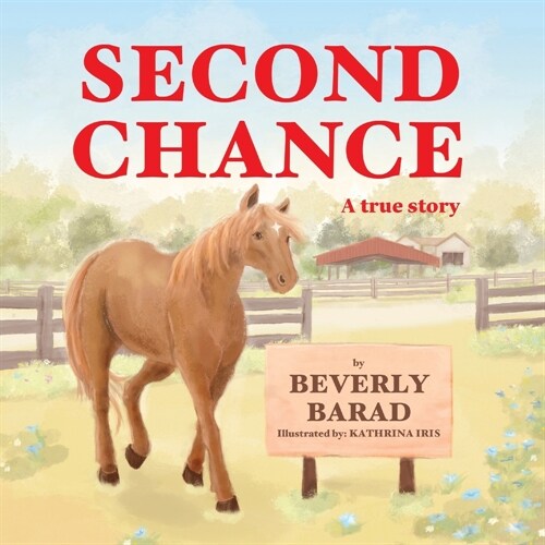 Second Chance (Paperback)