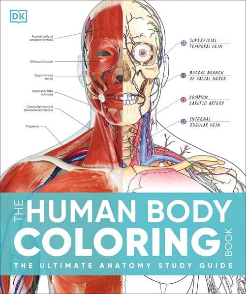 The Human Body Coloring Book: The Ultimate Anatomy Study Guide, Second Edition (Paperback)