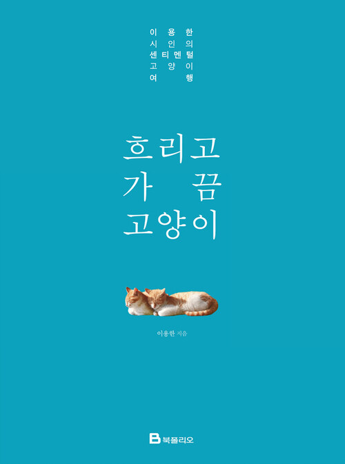 흐리고 가끔 고양이