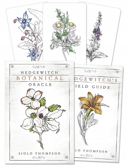 Hedgewitch Botanical Oracle SPECIAL (Hardcover, Subscription Box Edition)