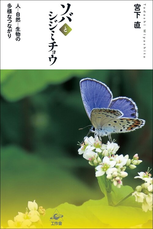 ソバとシジミチョウ-人-自然-生物の多樣なつながり