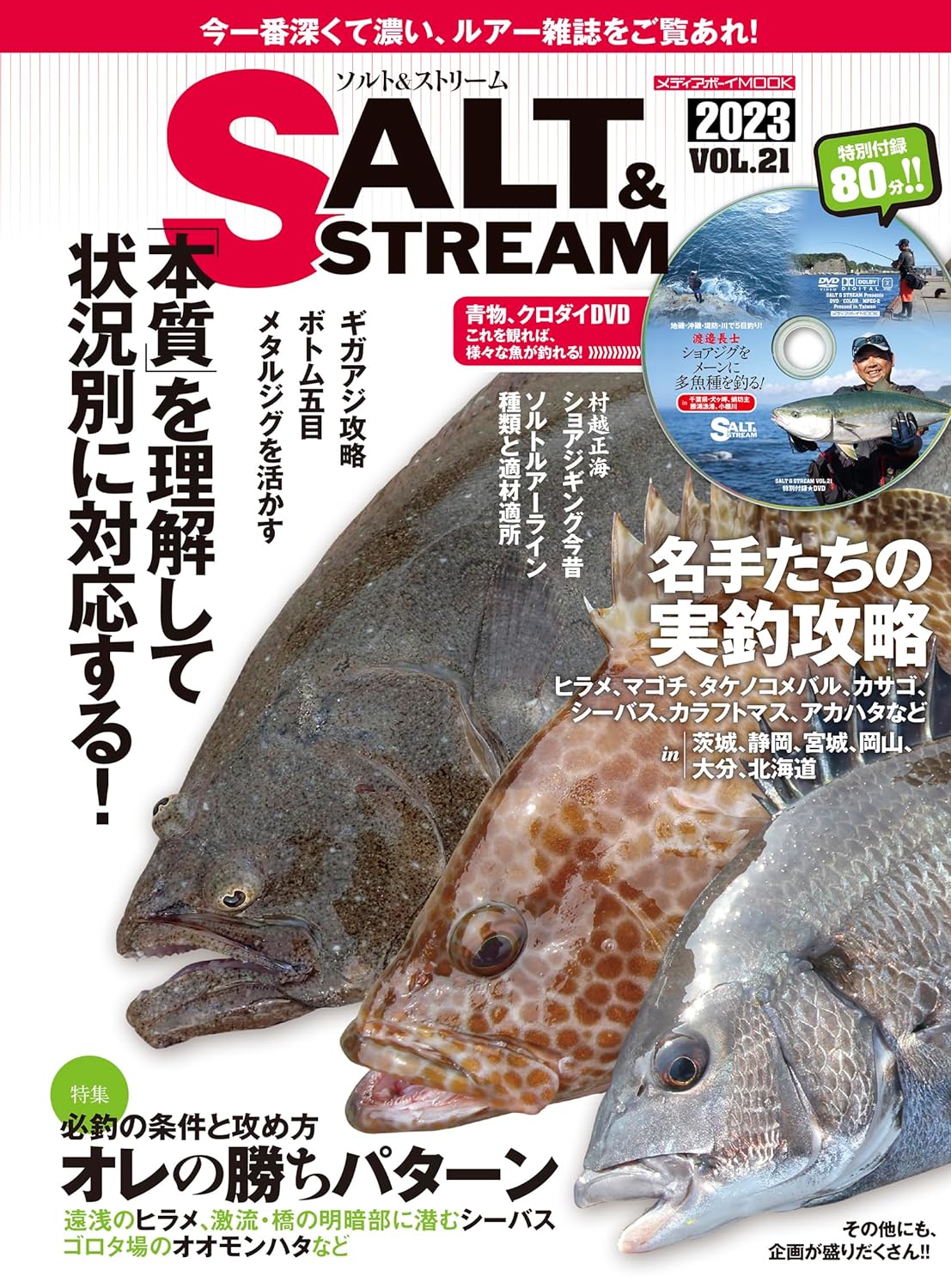 SALT&STREAM VOL.21 (メディアボ-イMOOK)