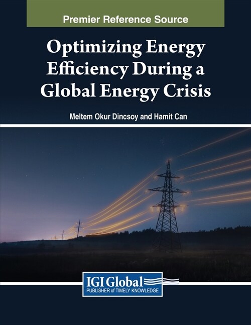 Optimizing Energy Efficiency During a Global Energy Crisis (Paperback)