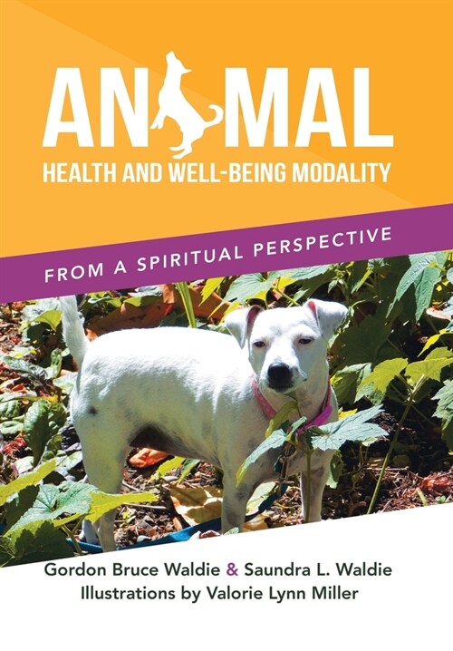 Animal Health and Well-Being Modality: From a Spiritual Perspective (Hardcover)