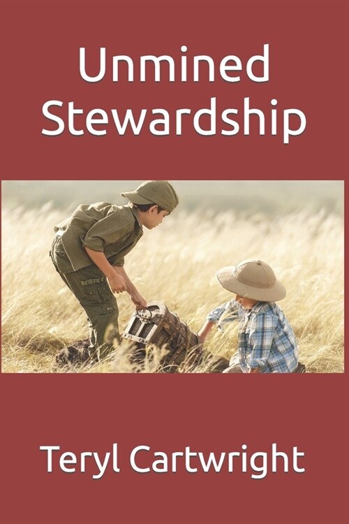 Unmined Stewardship (Paperback)