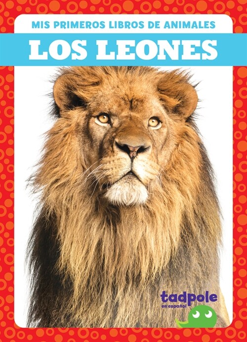 Los Leones (Lions) (Paperback)