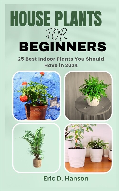 House Plants for Beginners: 25 Best Indoor Plants You Should Have in 2024 (Paperback)