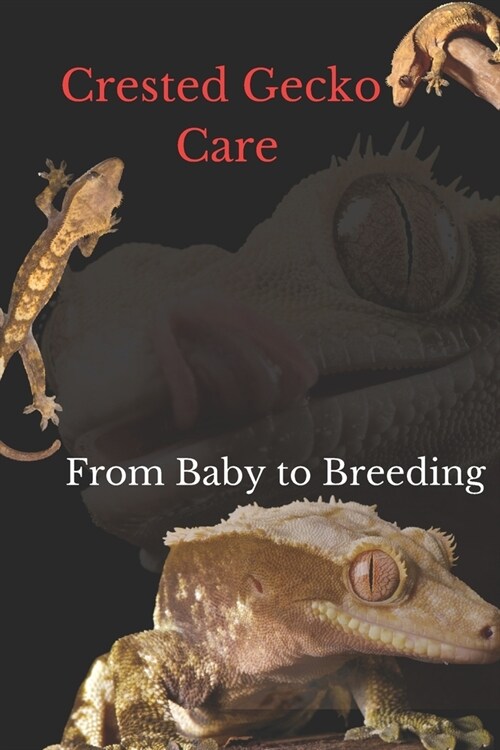 Crested Gecko Care: From Baby to Breeding (Paperback)