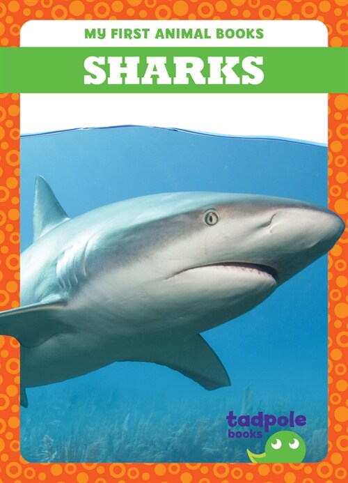 Sharks (Paperback)