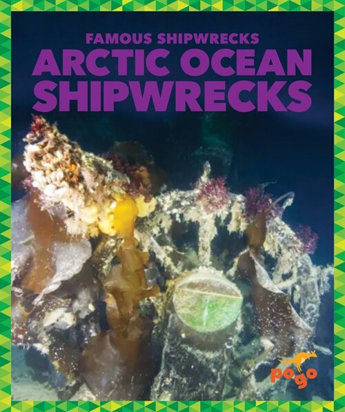 Arctic Ocean Shipwrecks (Library Binding)