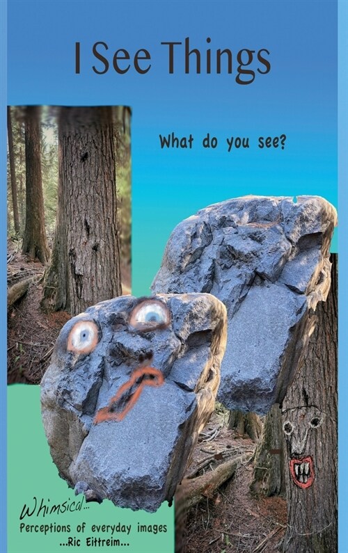 I See Things (Hardcover)