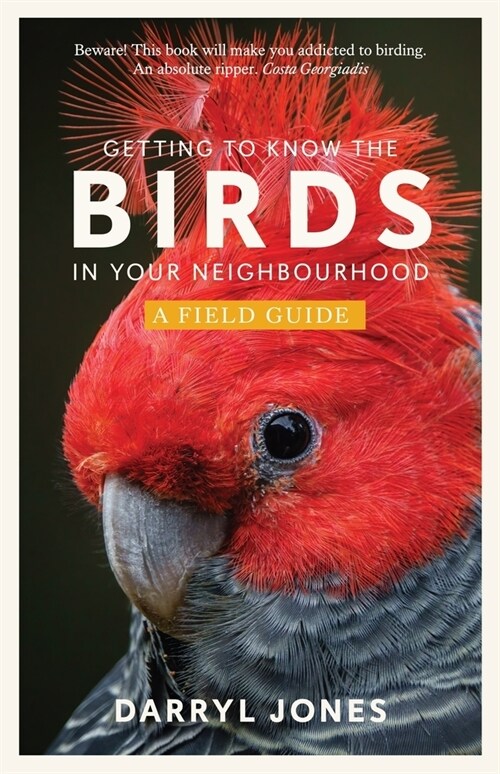 Getting to Know the Birds in Your Neighbourhood (Paperback)
