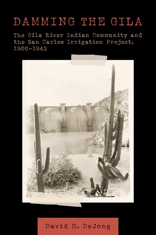 Damming the Gila: The Gila River Indian Community and the San Carlos Irrigation Project, 1900-1942 (Hardcover)