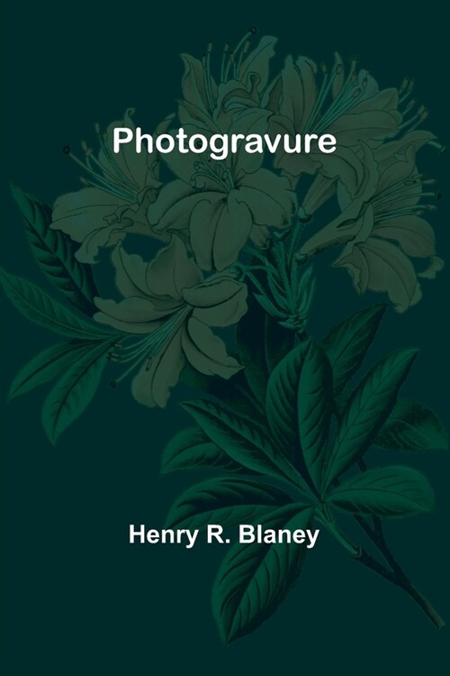 Photogravure (Paperback)