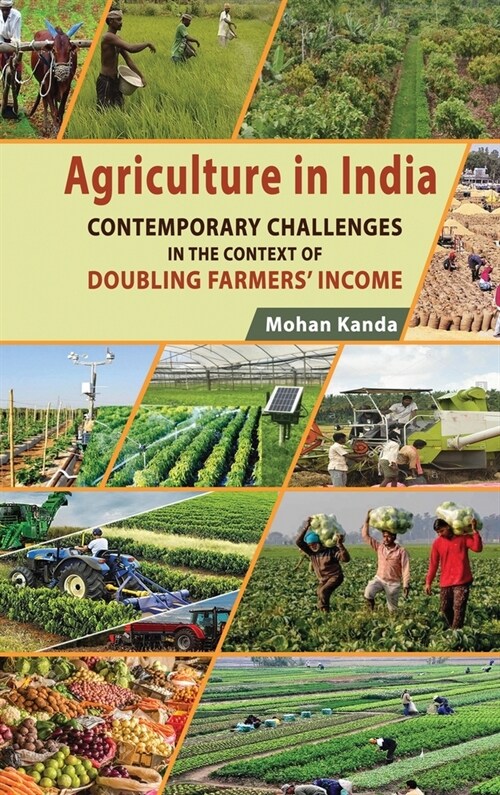 Agriculture in India: Contemporary Challenges in the Context of Doubling Farmers Income (Hardcover)