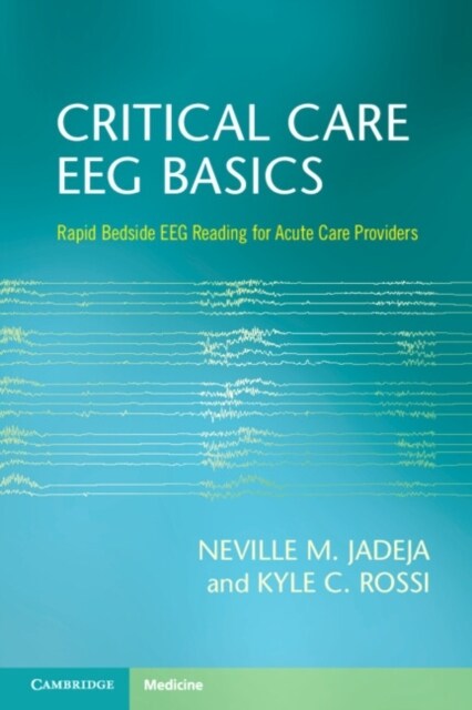 Critical Care EEG Basics : Rapid Bedside EEG Reading for Acute Care Providers (Paperback)