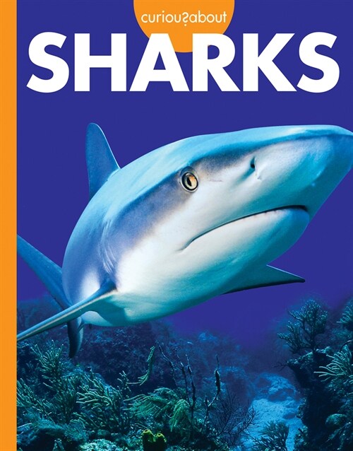 Curious about Sharks (Library Binding)