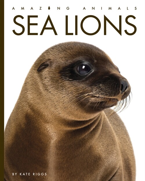 Sea Lions (Library Binding)