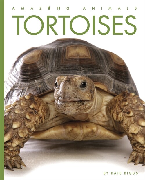 Tortoises (Library Binding)