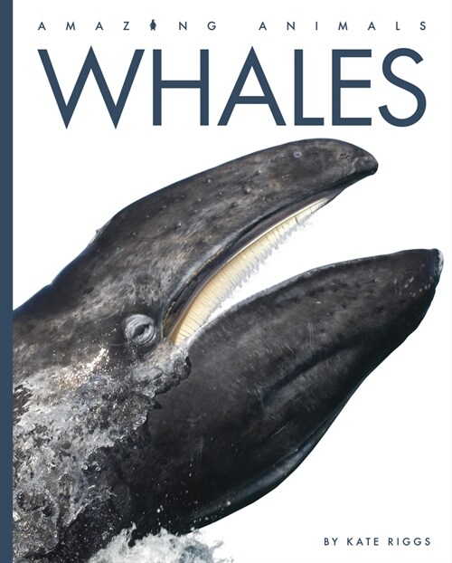 Whales (Library Binding)