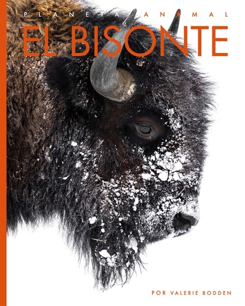 El Bisonte (Library Binding)