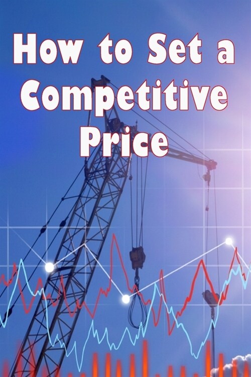 How to Set a Competitive Price: How to Value Your Offering Your Ideal Pricing Techniques for a Product (Paperback)