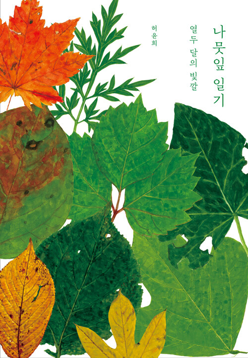 나뭇잎 일기 : 열두 달의 빛깔
