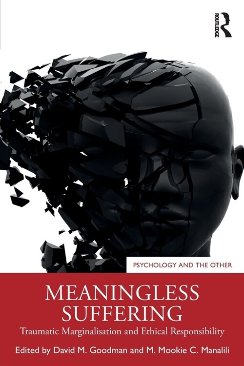 Meaningless Suffering : Traumatic Marginalisation and Ethical Responsibility (Paperback)
