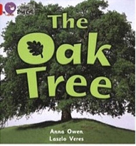 The Oak Tree : Band 02B/Red B (Paperback)