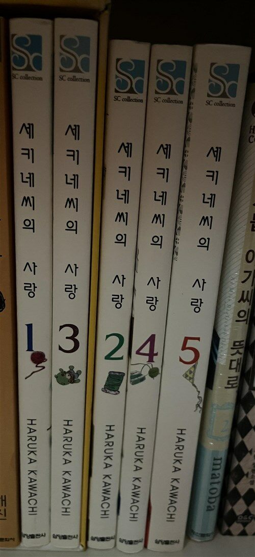 [중고] 세키네씨의 사랑 5