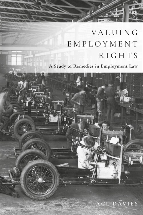 Valuing Employment Rights : A Study of Remedies in Employment Law (Hardcover)