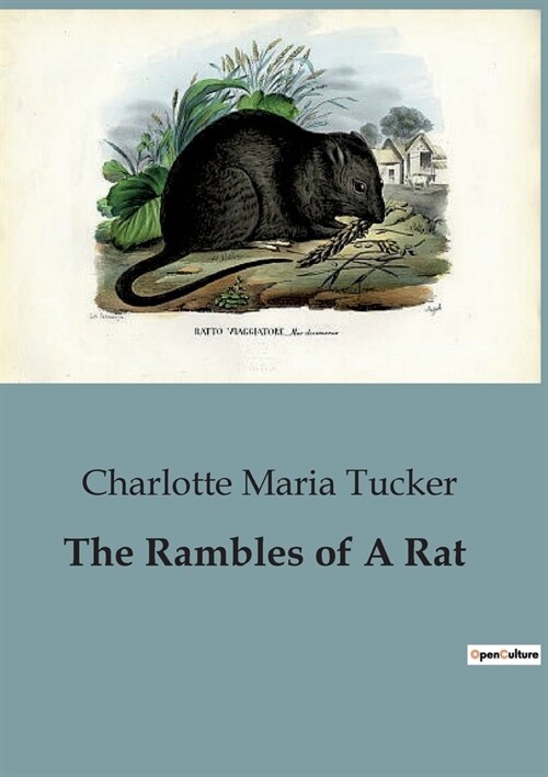 The Rambles of A Rat (Paperback)