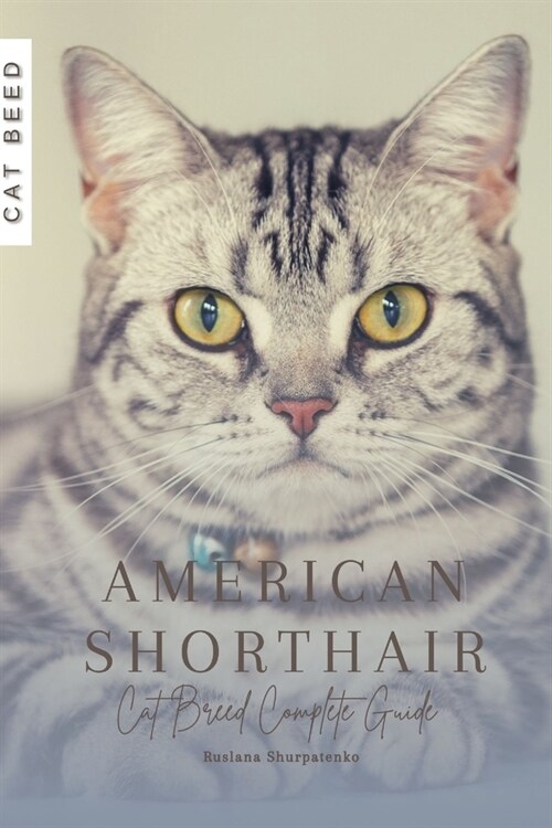 American Shorthair: Cat Breed Complete Guide (Paperback)