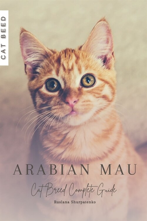 Arabian Mau: Cat Breed Complete Guide (Paperback)