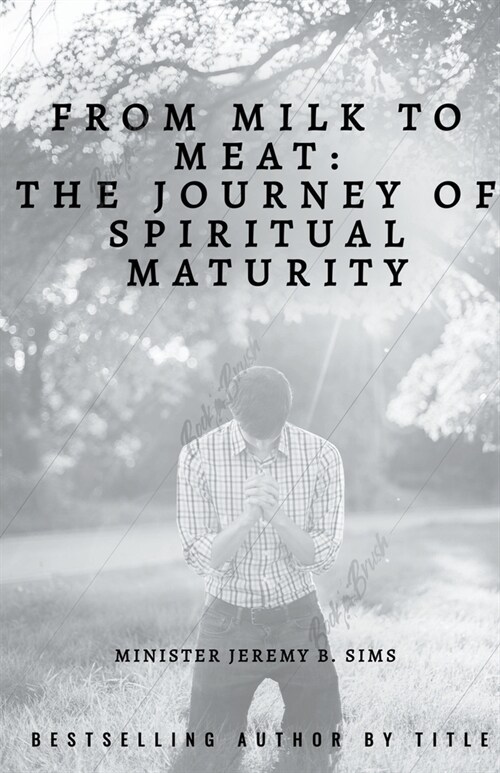 From Milk to Meat: The Journey of Spiritual Maturity (Paperback)