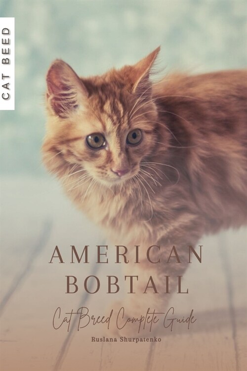 American Bobtail: Cat Breed Complete Guide (Paperback)