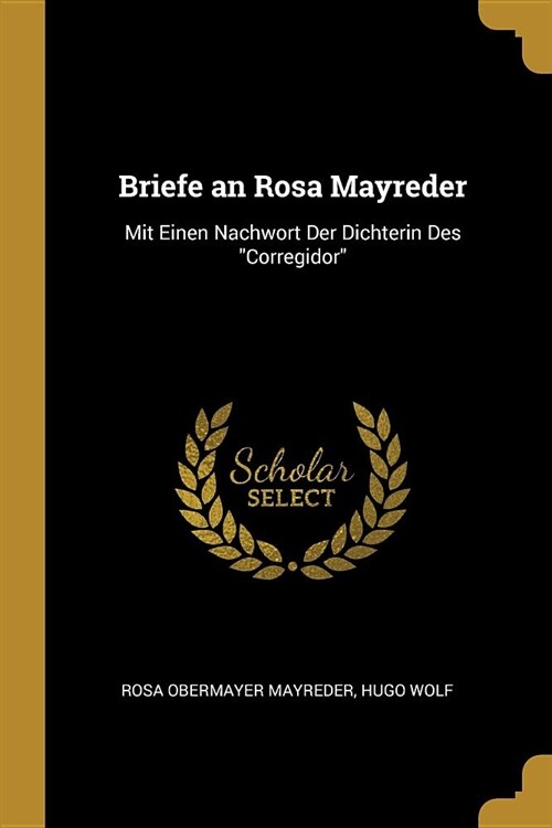 Briefe an Rosa Mayreder: Mit Einen Nachwort Der Dichterin Des Corregidor (Paperback)