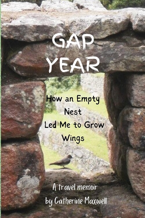 Gap Year: How an Empty Nest Led Me to Grow Wings (Paperback)