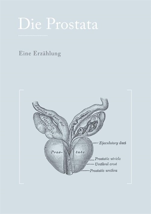 Die Prostata: Eine Erz?lung (Paperback)